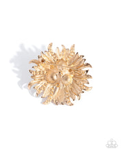 Load image into Gallery viewer, Paparazzi Ornate Operation - Gold
